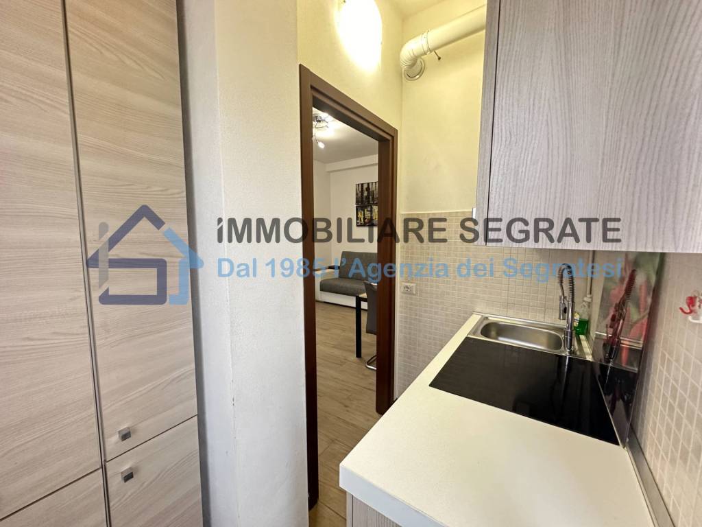 immagine annuncio 7 di 15