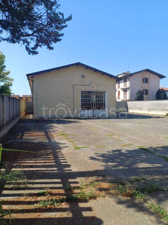 immagine annuncio 11 di 15