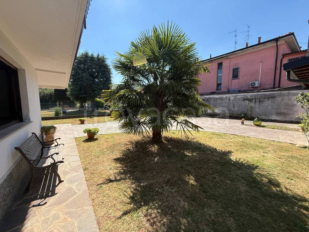 immagine annuncio 11 di 15