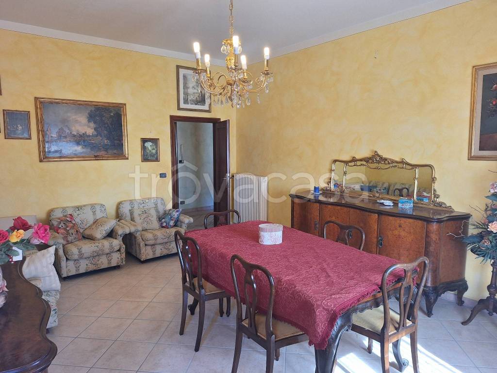 immagine annuncio 1 di 14