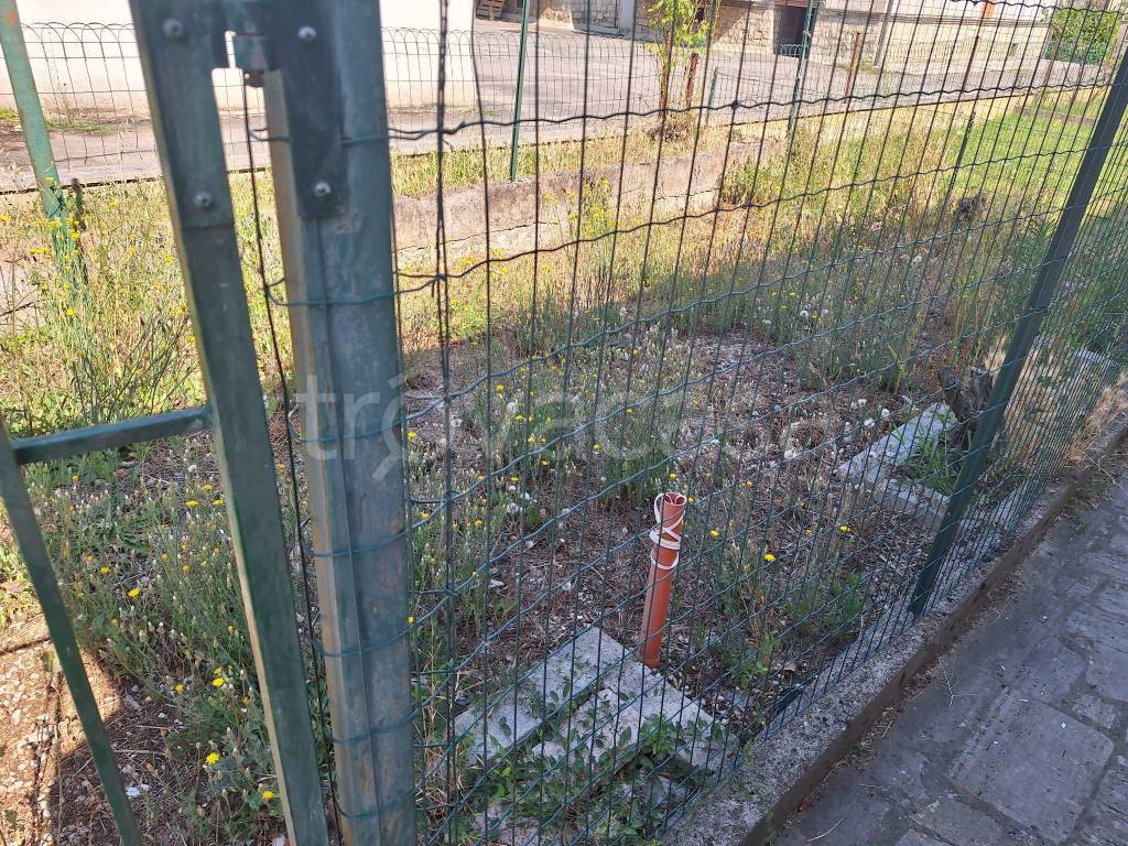 immagine annuncio 13 di 14