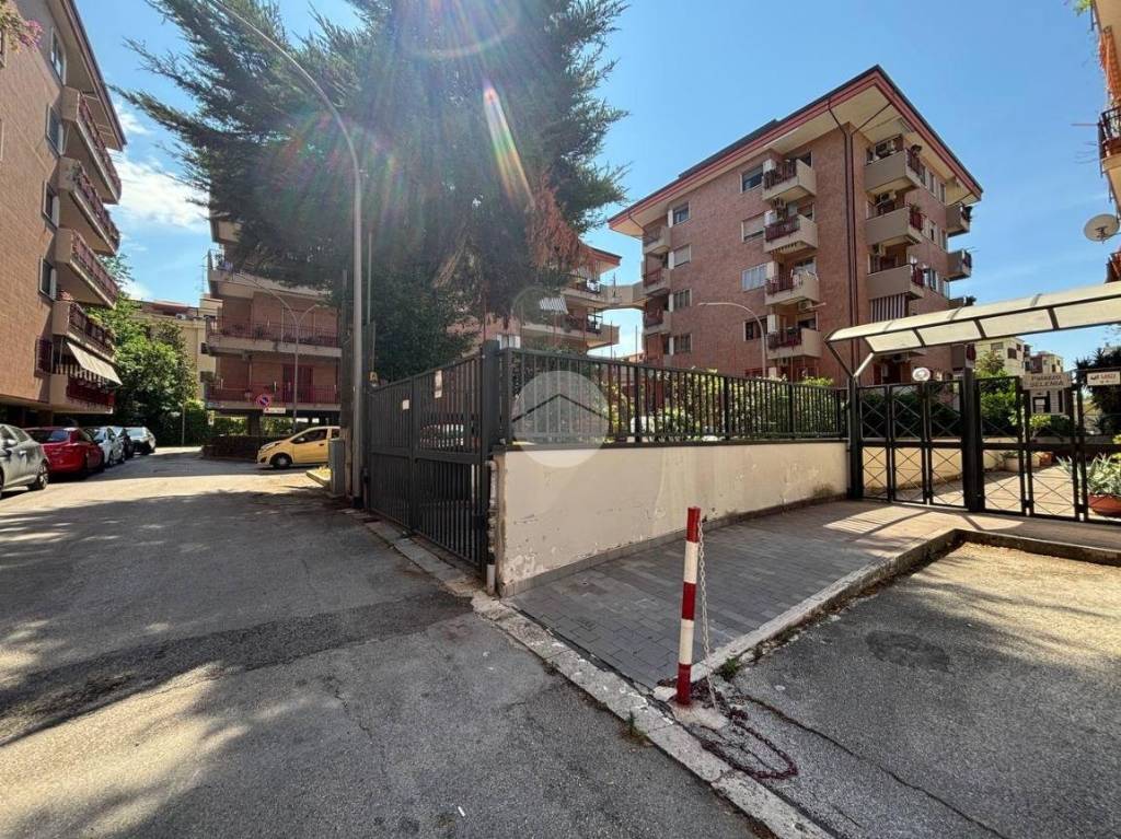 immagine annuncio 1 di 8