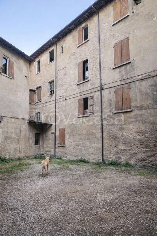 immagine annuncio 3 di 6