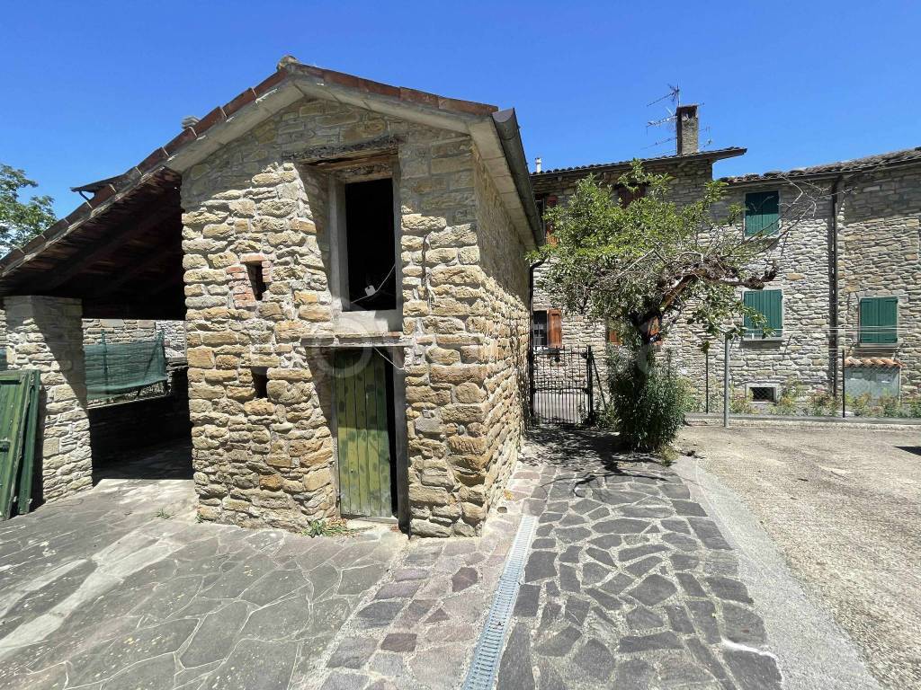 immagine annuncio 11 di 14