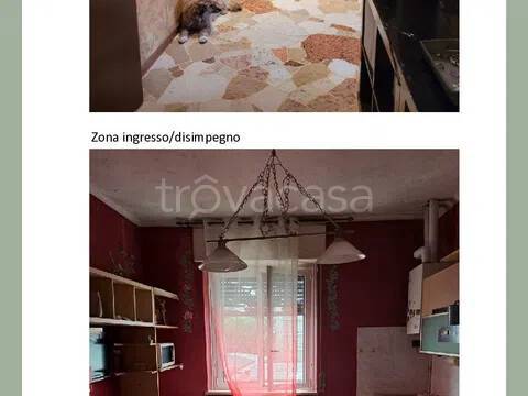 immagine annuncio 7 di 14
