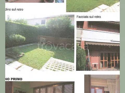 immagine annuncio 12 di 15