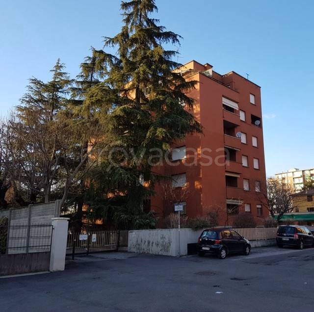 immagine annuncio 3 di 14
