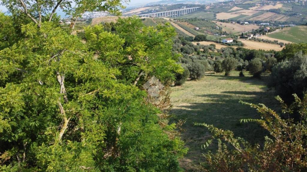 immagine annuncio 4 di 11