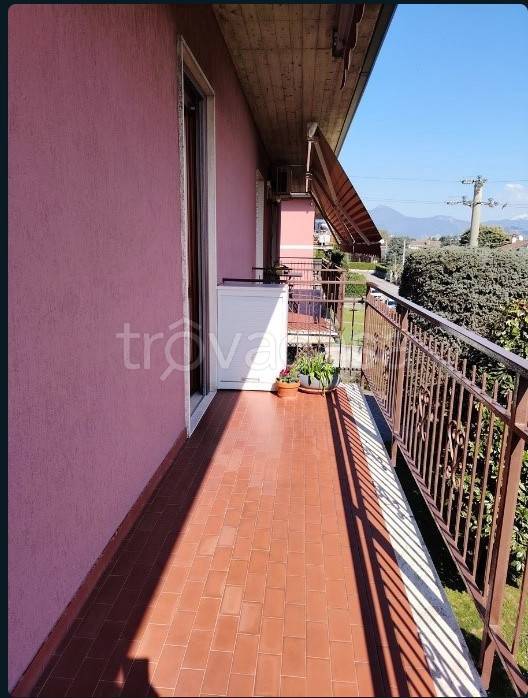 immagine annuncio 11 di 14