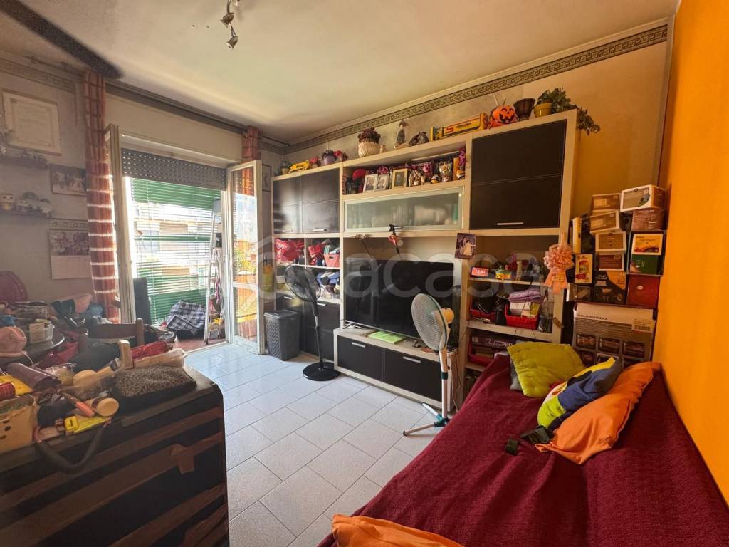 immagine annuncio 2 di 14