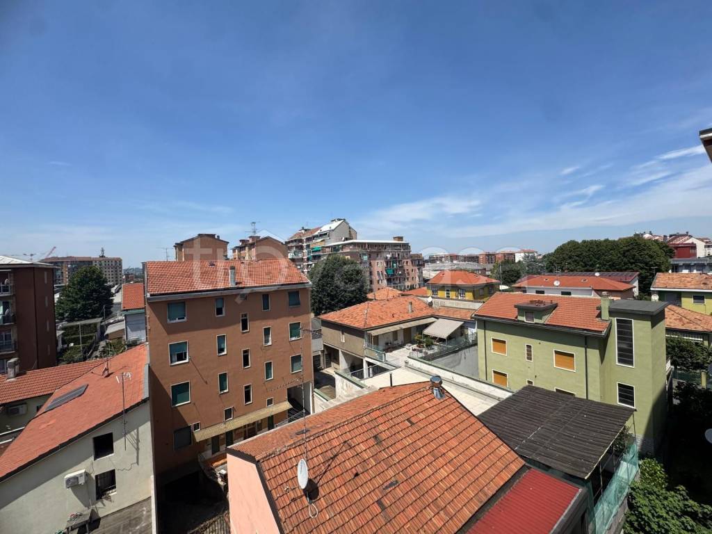 immagine annuncio 3 di 14