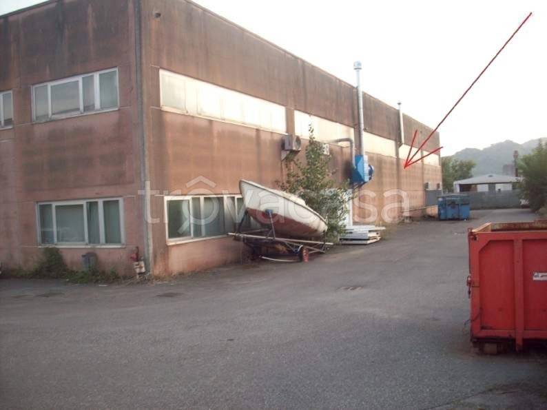immagine annuncio 3 di 8
