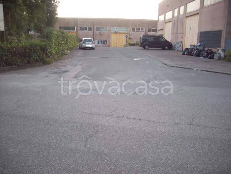 immagine annuncio 4 di 8