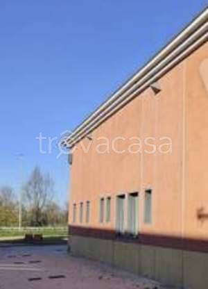 immagine annuncio 3 di 7