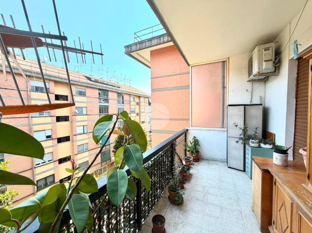 immagine annuncio 6 di 14