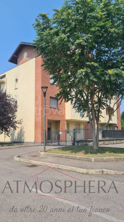 immagine annuncio 8 di 14