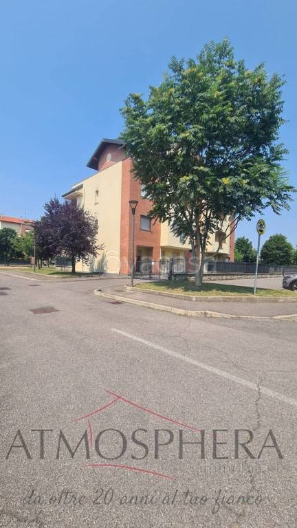 immagine annuncio 12 di 14