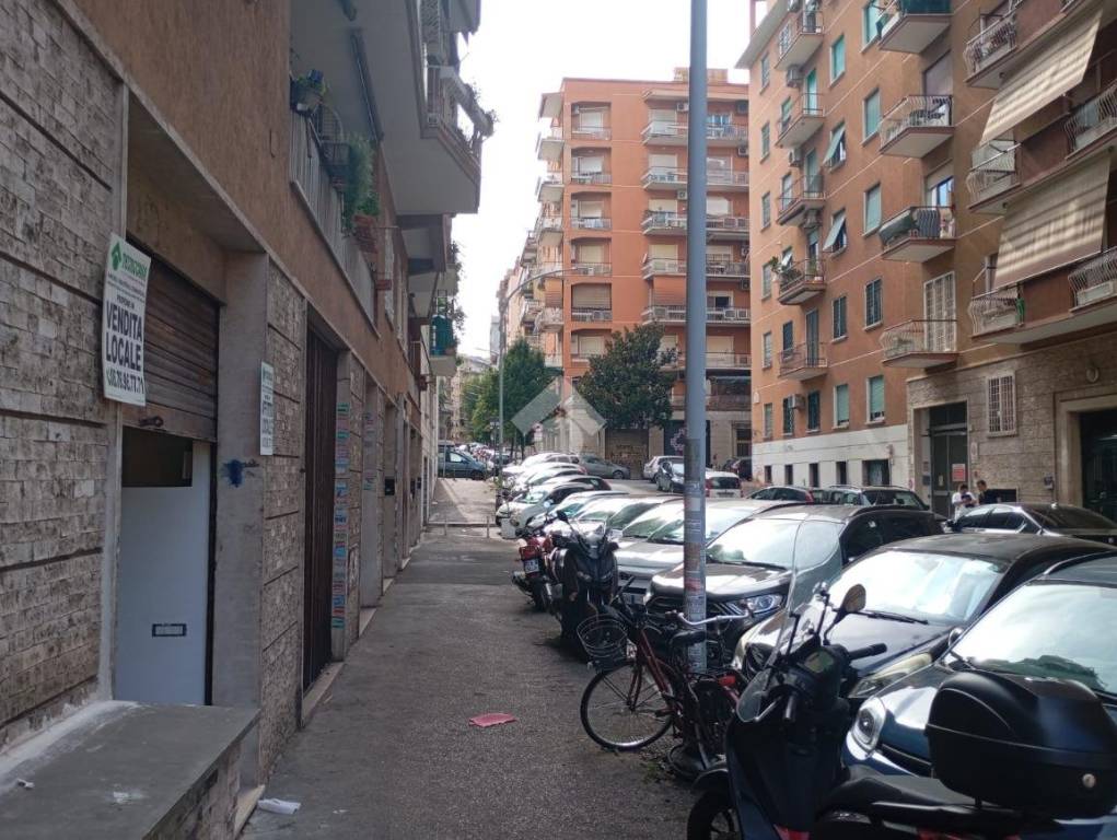 immagine annuncio 7 di 9