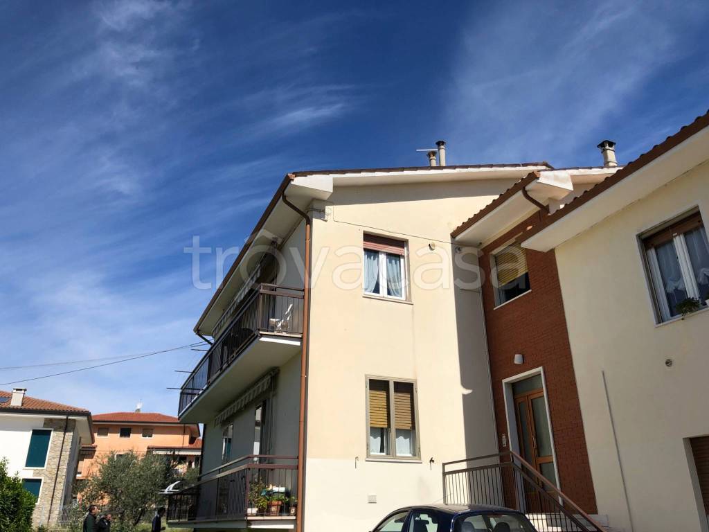 immagine annuncio 12 di 14