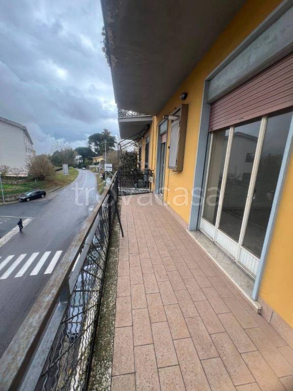 immagine annuncio 8 di 14
