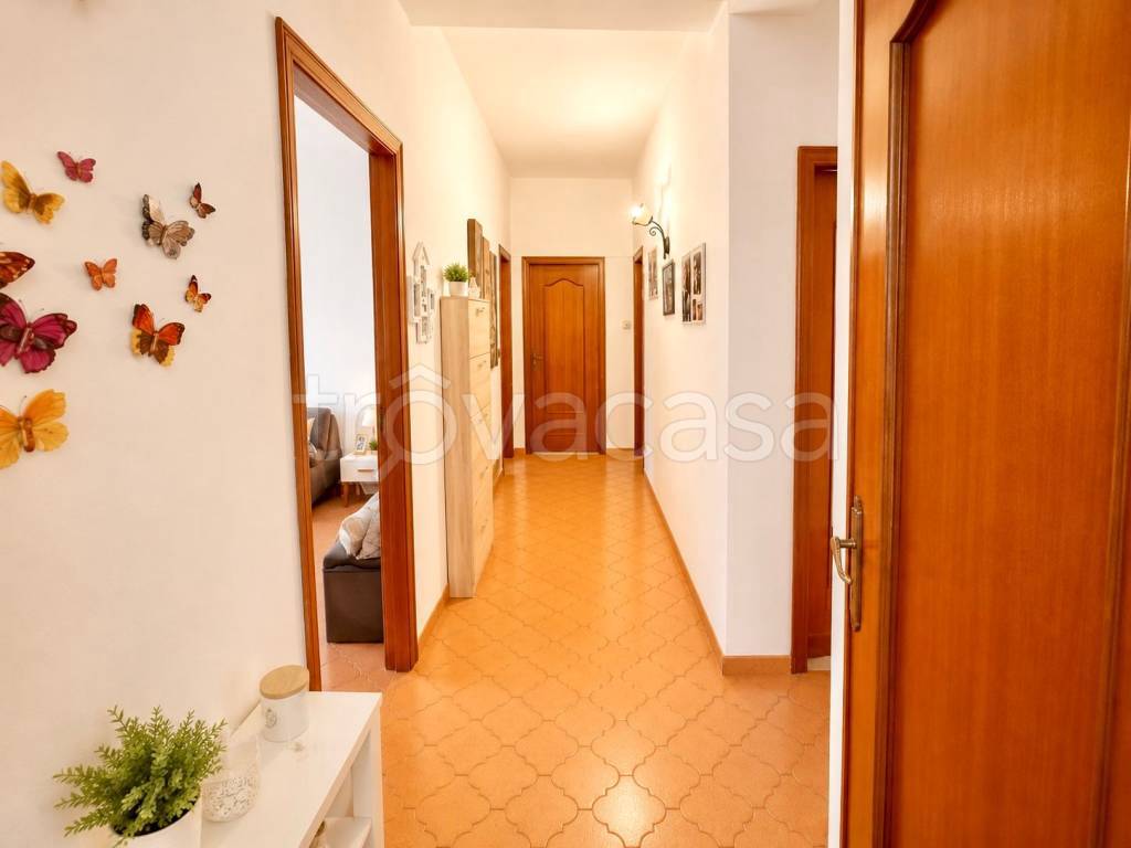immagine annuncio 7 di 13