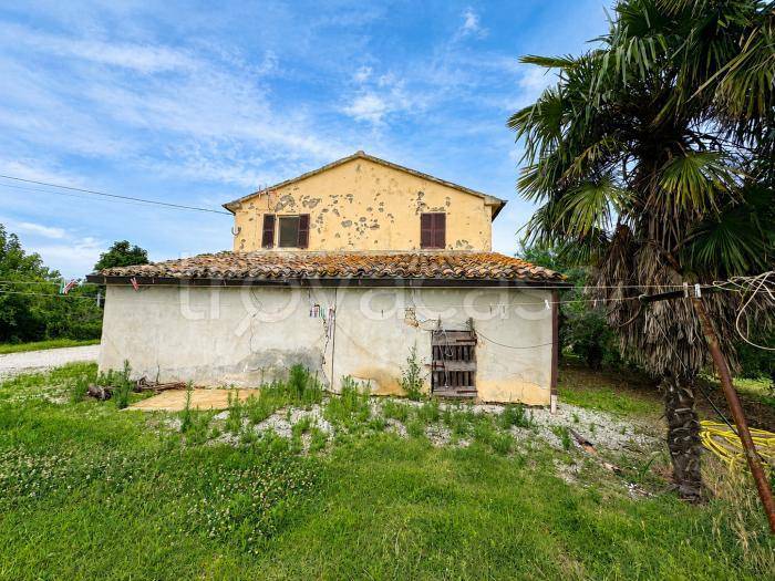 immagine annuncio 1 di 9