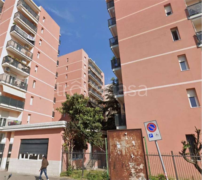 immagine annuncio 5 di 14