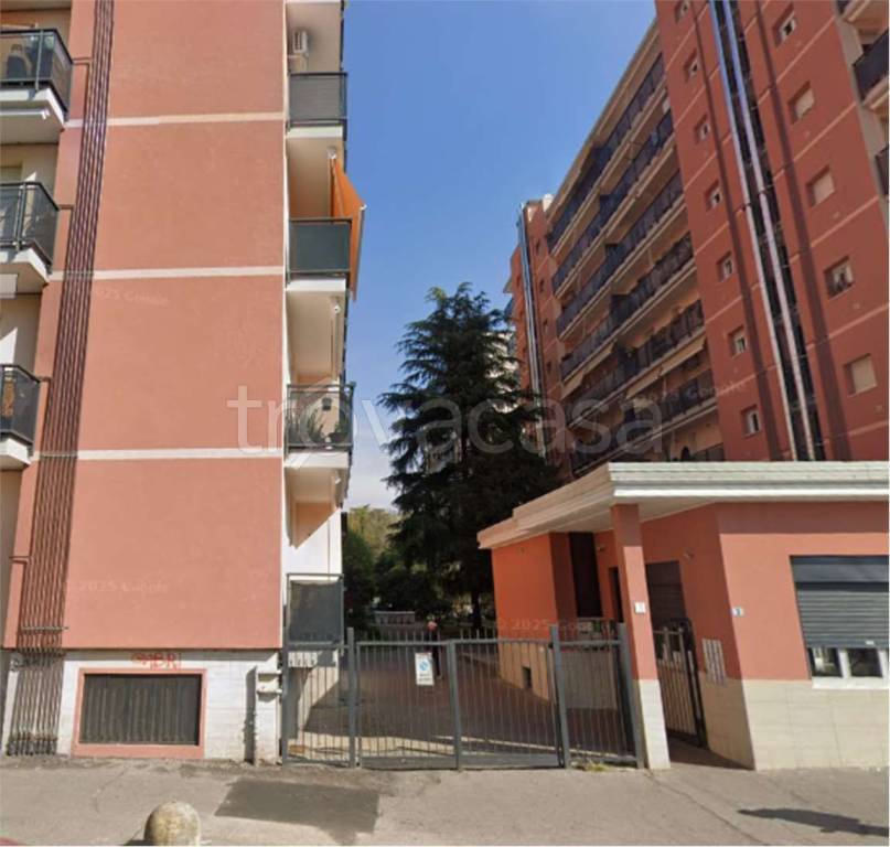 immagine annuncio 9 di 14