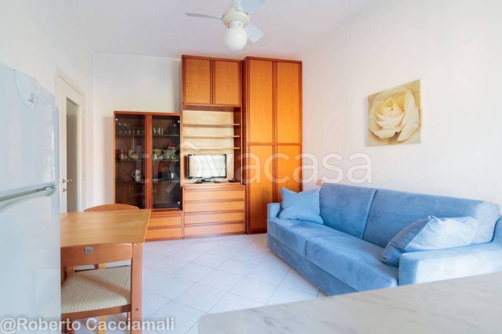 immagine annuncio 3 di 8