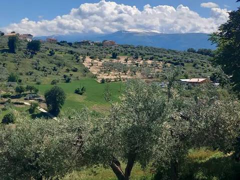 immagine annuncio 5 di 9