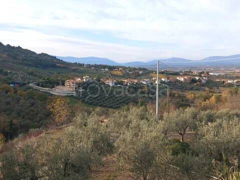 immagine annuncio 7 di 11