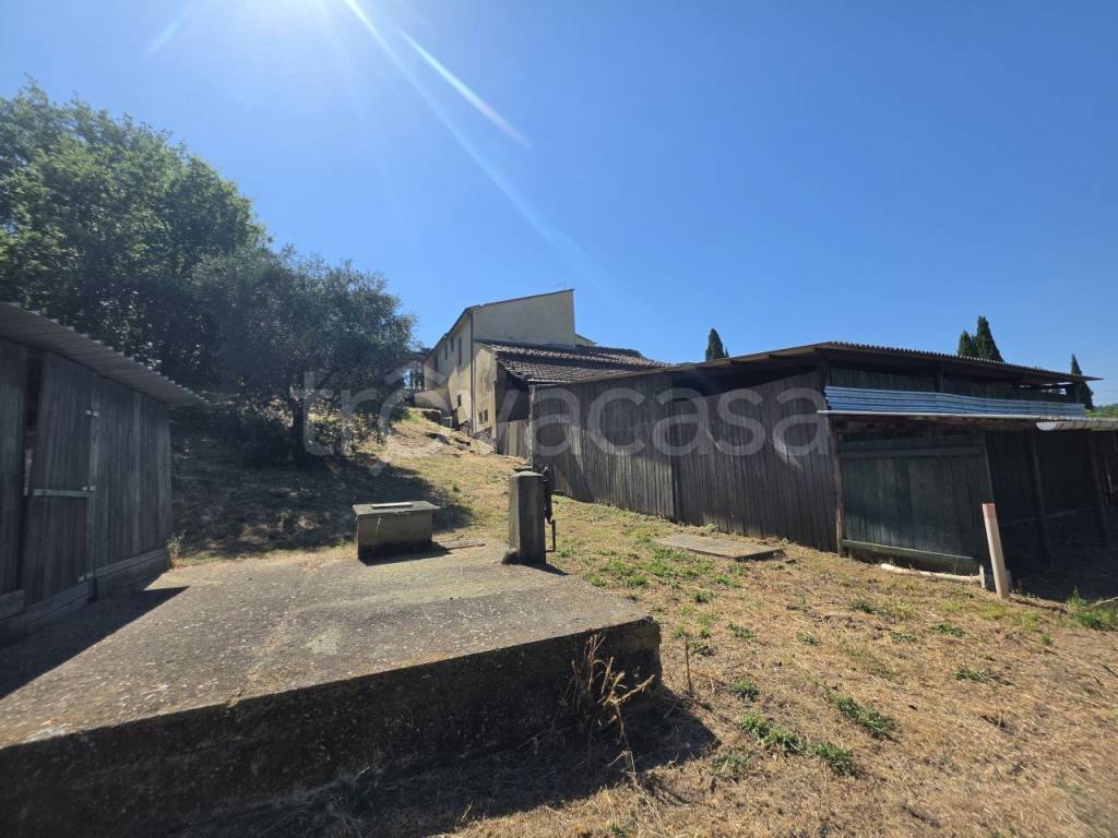 immagine annuncio 5 di 14