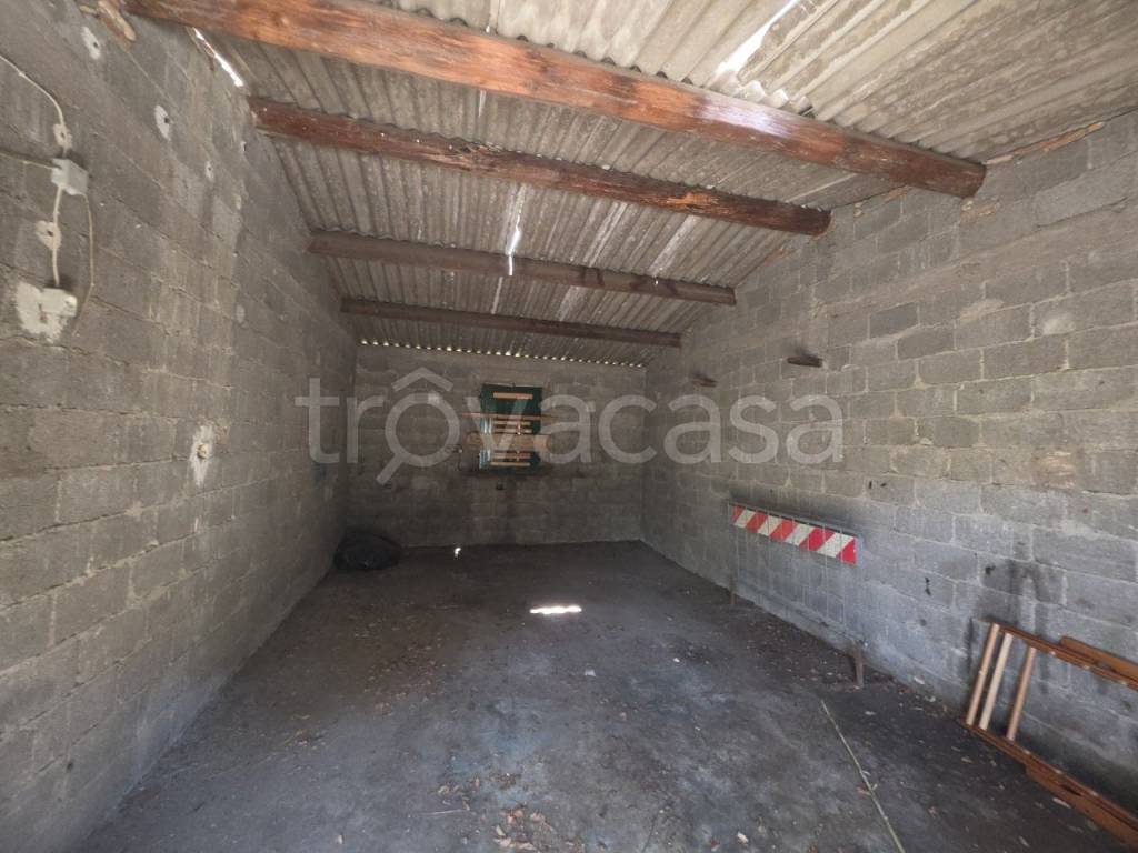 immagine annuncio 12 di 14