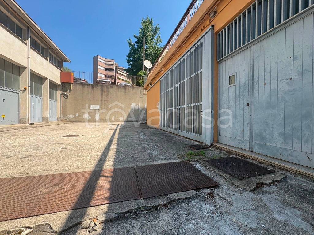 immagine annuncio 1 di 14