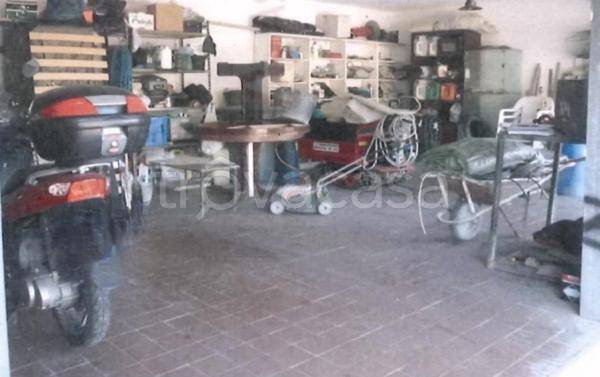 immagine annuncio 2 di 8