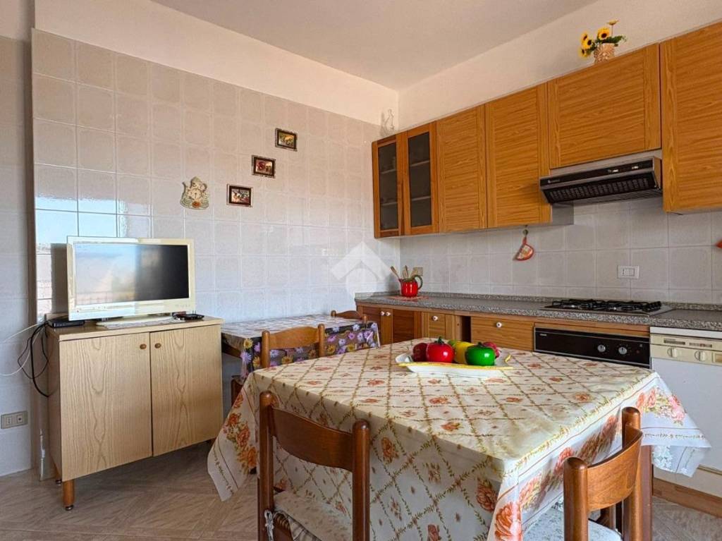 immagine annuncio 2 di 14