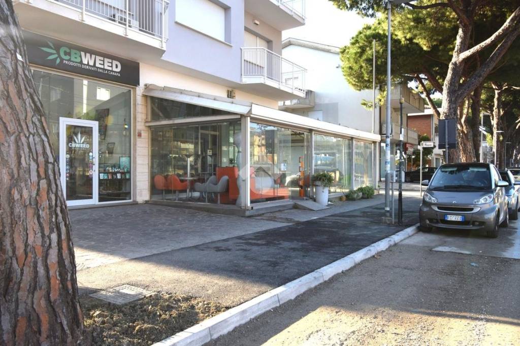 immagine annuncio 9 di 14