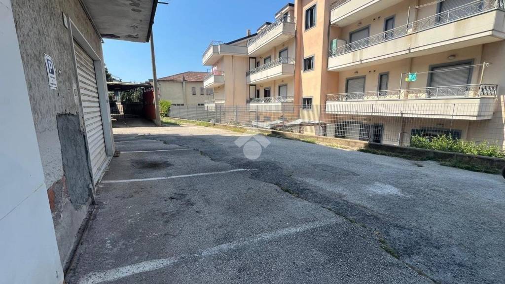 immagine annuncio 3 di 14