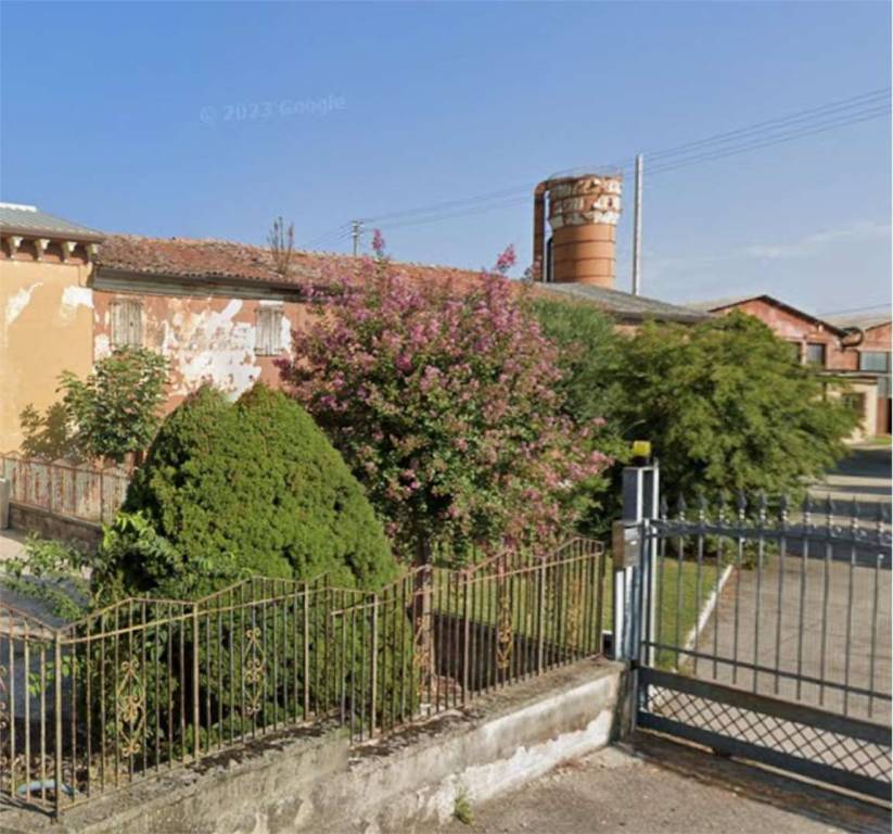 immagine annuncio 4 di 13