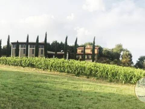 immagine annuncio 6 di 14