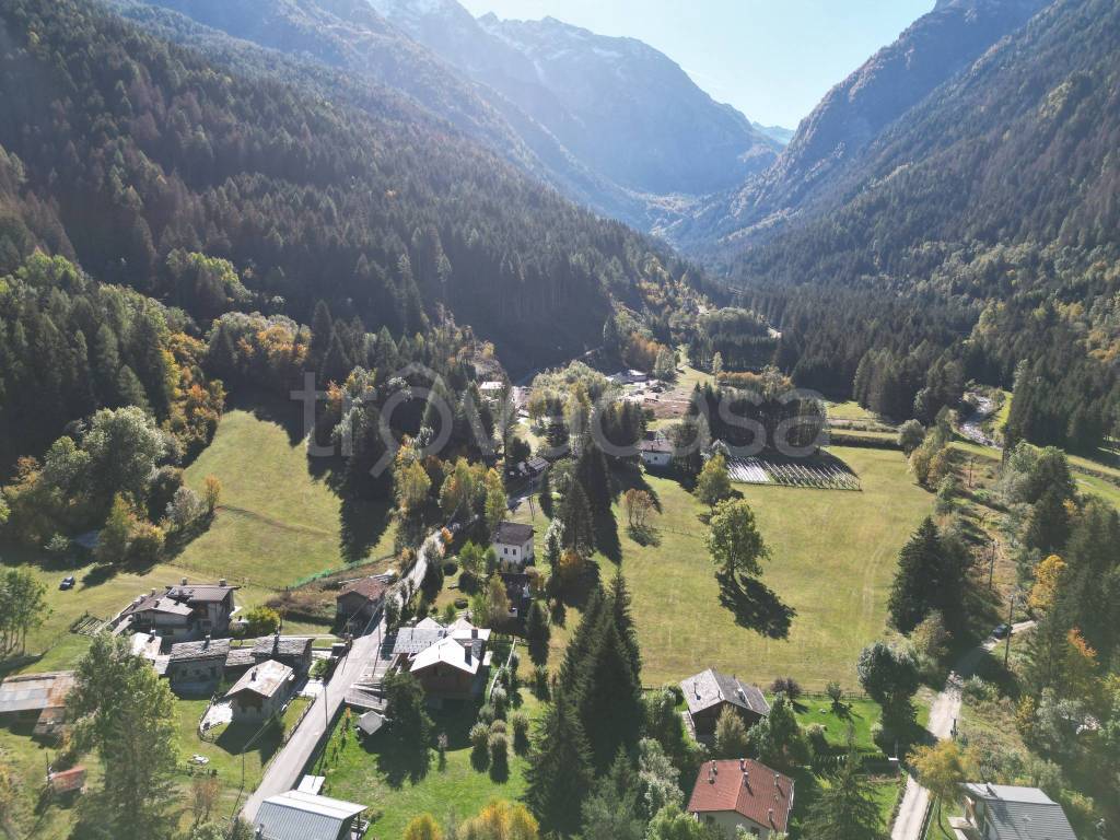 immagine annuncio 4 di 9