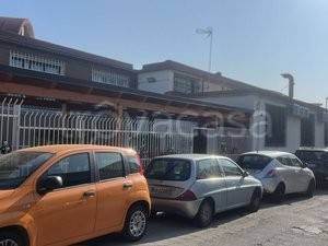 immagine annuncio 1 di 2