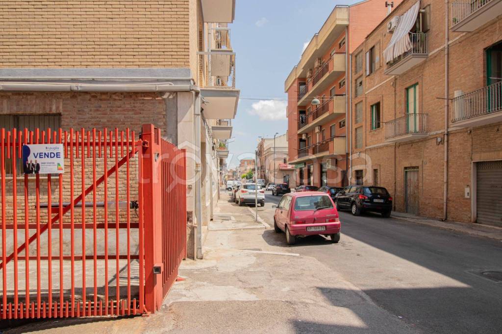 immagine annuncio 4 di 8