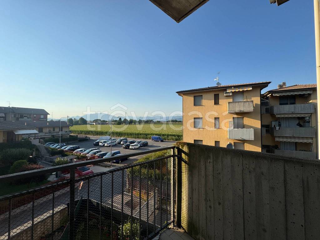 immagine annuncio 9 di 12