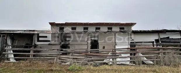 immagine annuncio 3 di 8