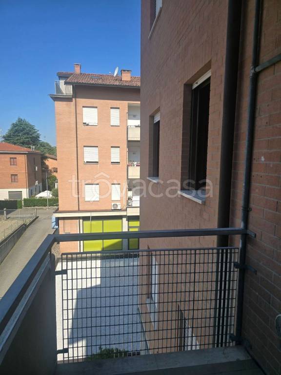 immagine annuncio 5 di 14
