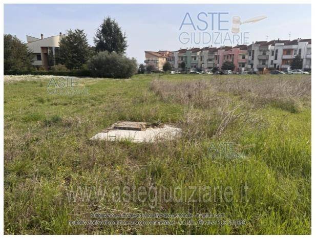 immagine annuncio 6 di 14
