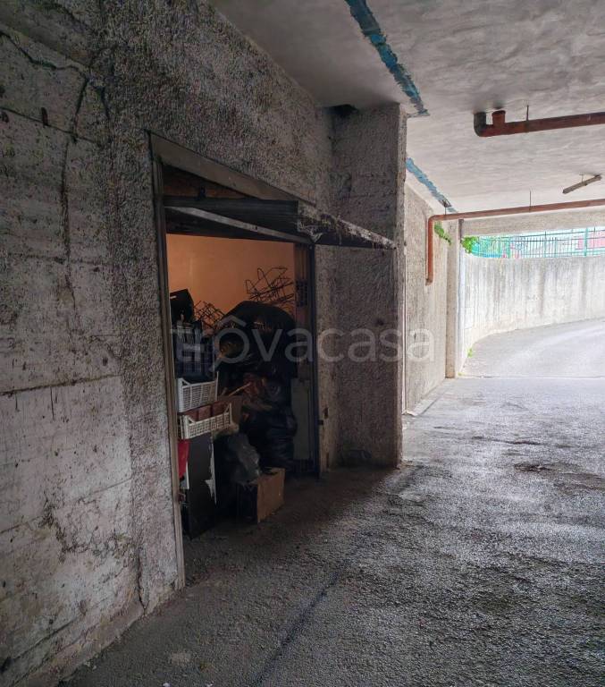 immagine annuncio 8 di 14