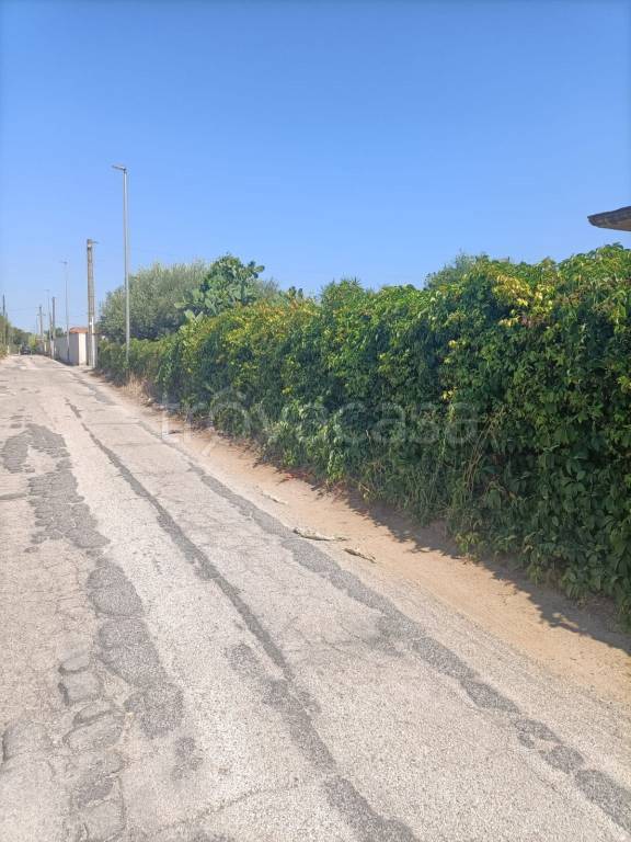 immagine annuncio 7 di 8