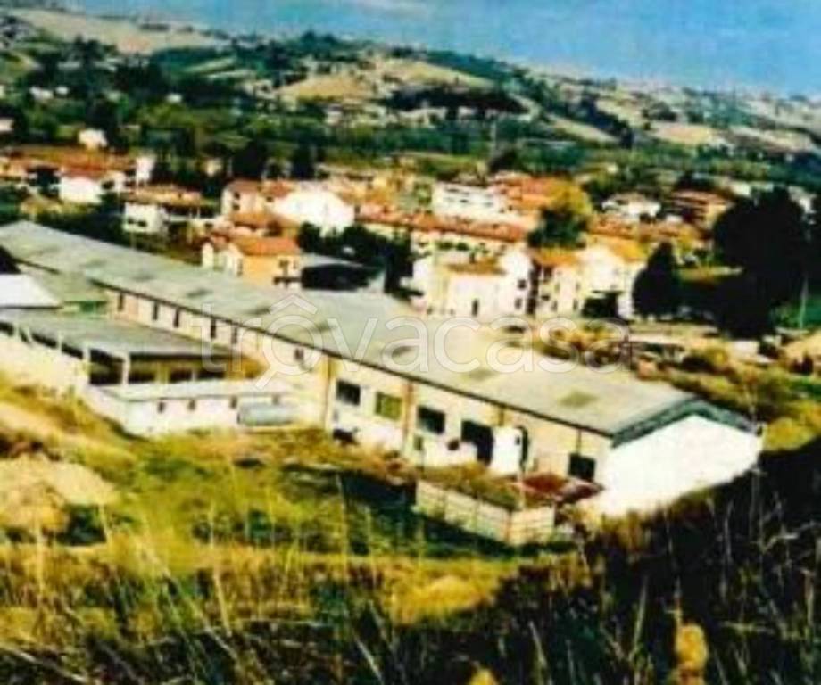 immagine annuncio 6 di 11